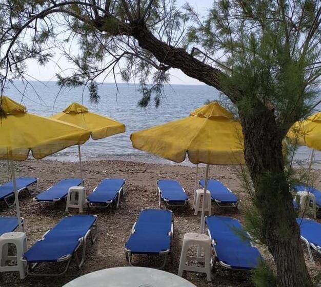 マウンテンビュースタンダードルーム, Katerina