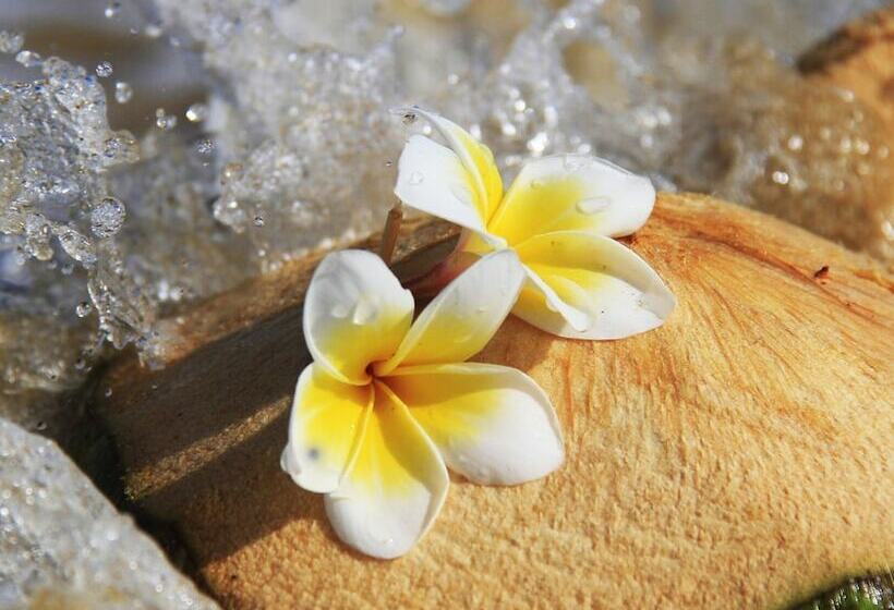 اتاق خانوادگی با چشمانداز باغ, Renaissance Sanya Haitang Bay Resort