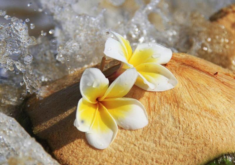 اتاق لوکس, Renaissance Sanya Haitang Bay Resort