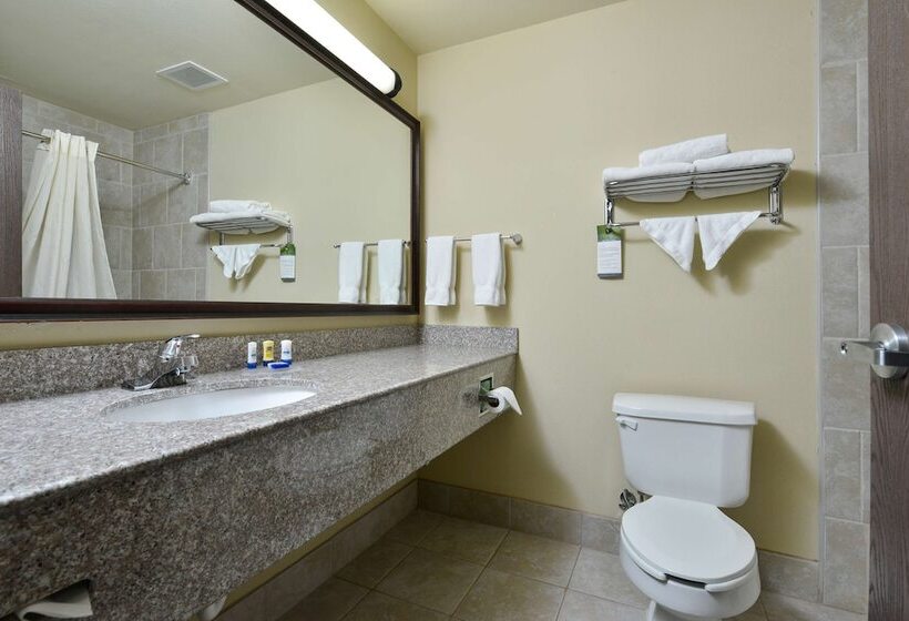 Люкс, Best Western Plus Burleson Inn & Suites