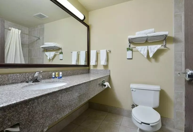 スイート, Best Western Plus Burleson Inn & Suites