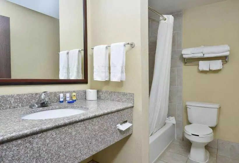 スタンダードルーム, Best Western Plus Burleson Inn & Suites
