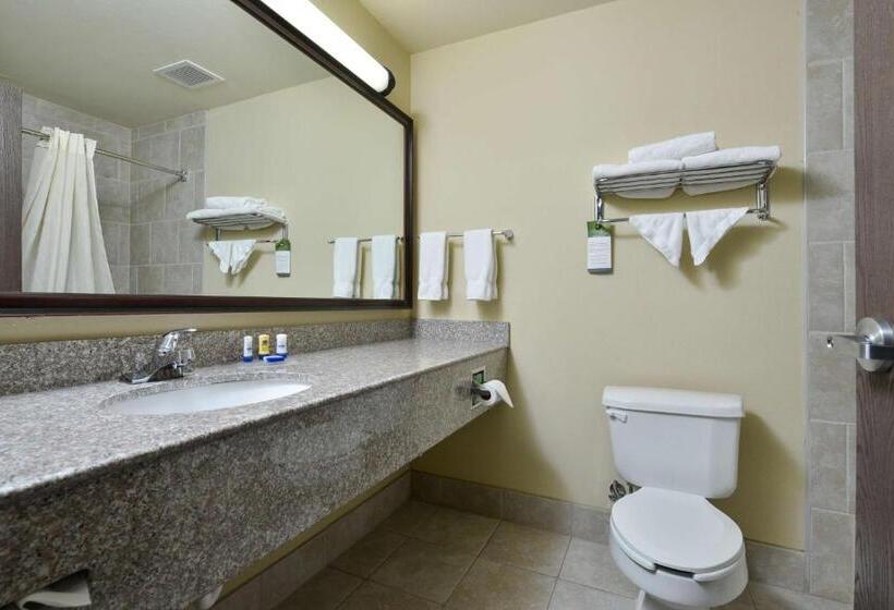 Люкс Кровать Кинг, Best Western Plus Burleson Inn & Suites