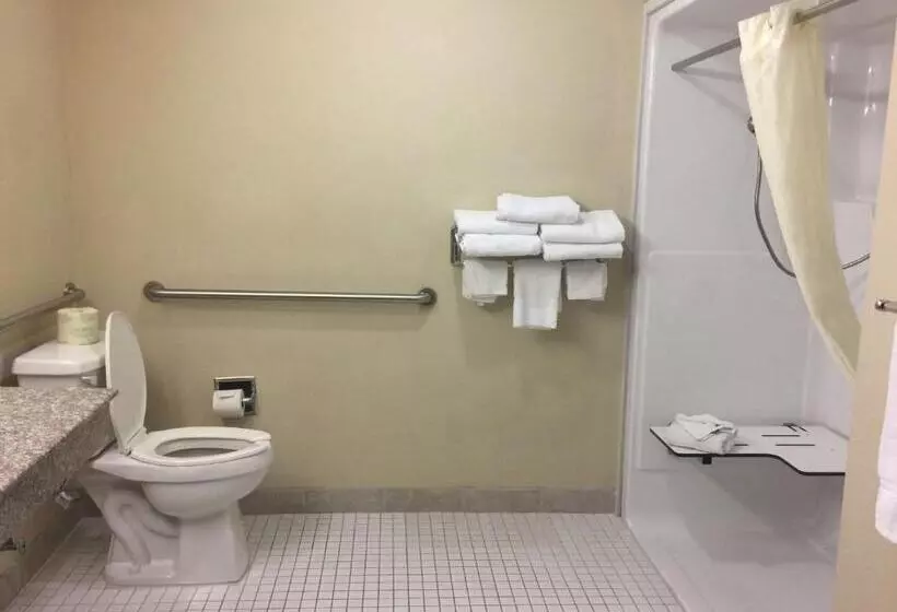 スタンダードルーム, Best Western Plus Burleson Inn & Suites