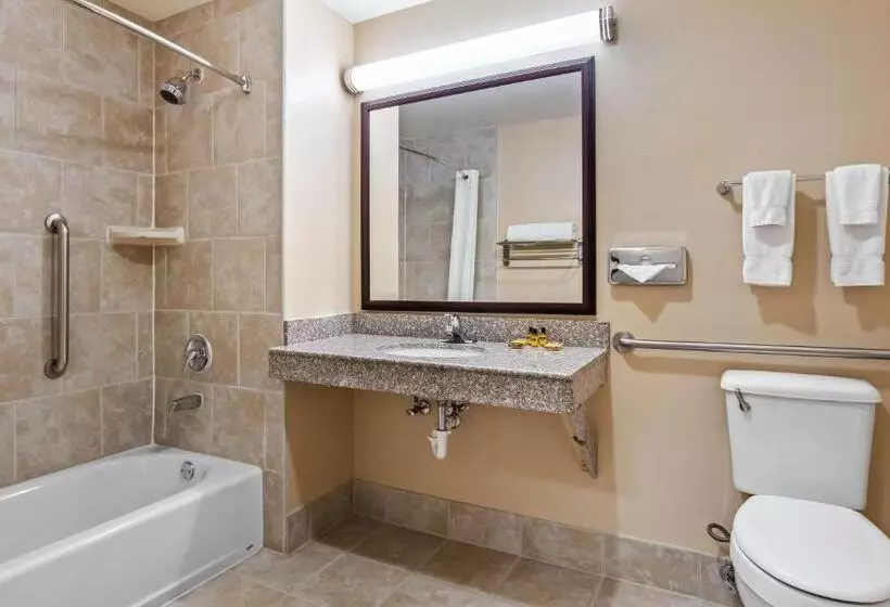 身障者適用キングサイズベッドルーム, Best Western Plus Burleson Inn & Suites