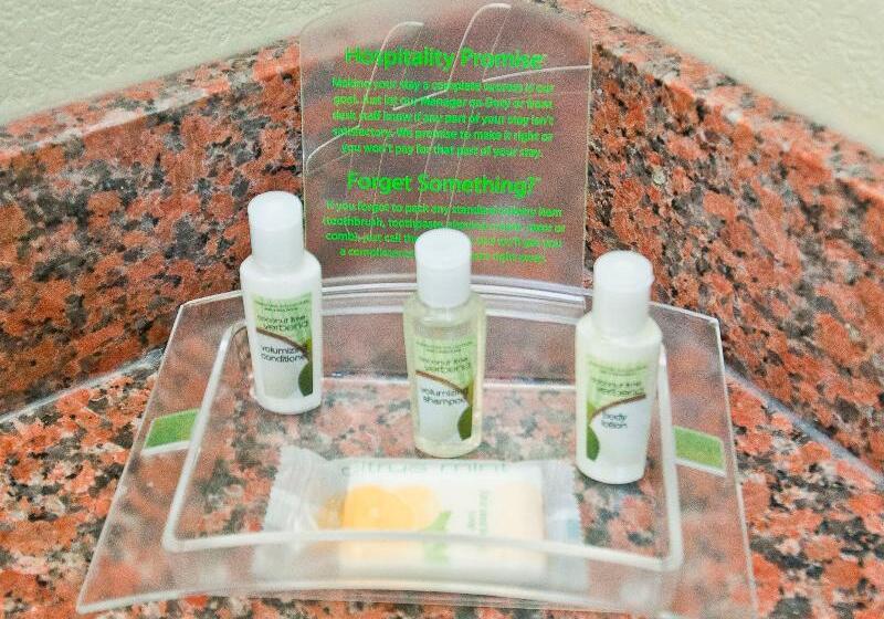 غرفة قياسية سرير كينج, Best Western Plus Burleson Inn & Suites