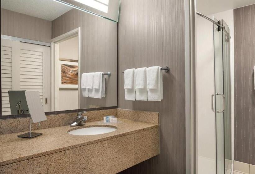 Standard Room Adapted for people with reduced mobility, Courtyard Chicago Bloomingdale