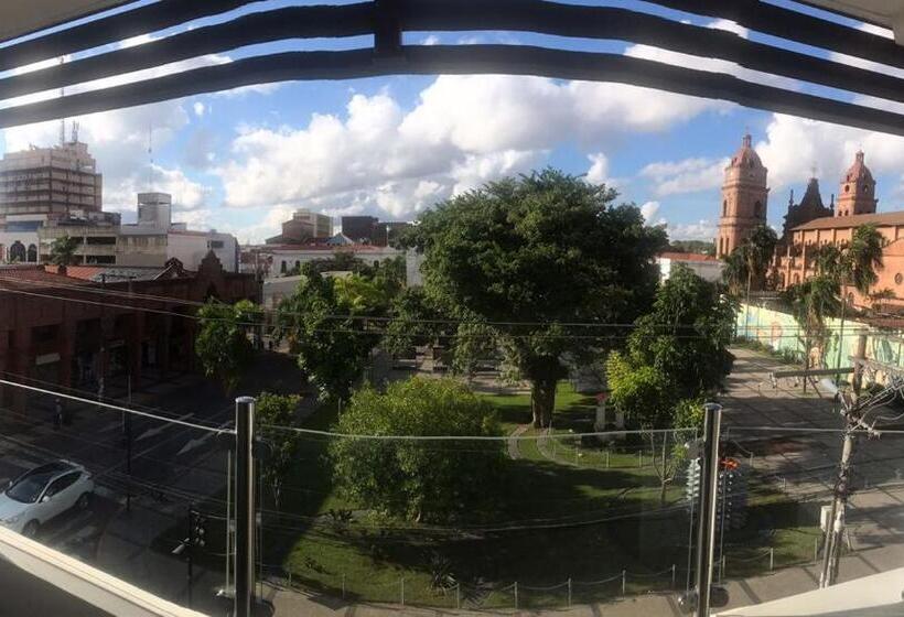 اتاق استاندارد یک نفره, Misional