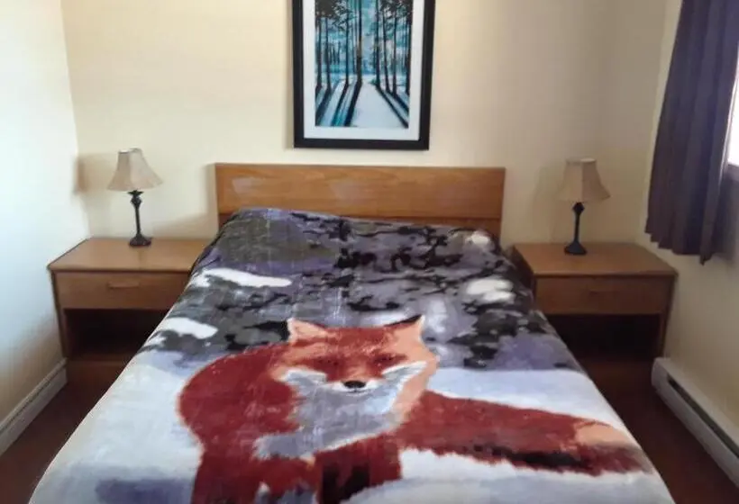 スタンダードルーム, Mountain View Motel