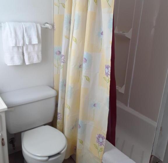 Standard Szoba 2 Franciaággyal, Mountain View Motel