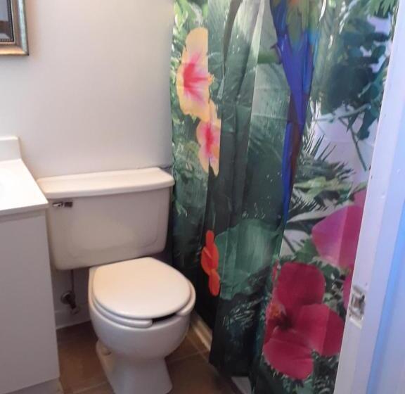 Standard Szoba 2 Franciaággyal, Mountain View Motel