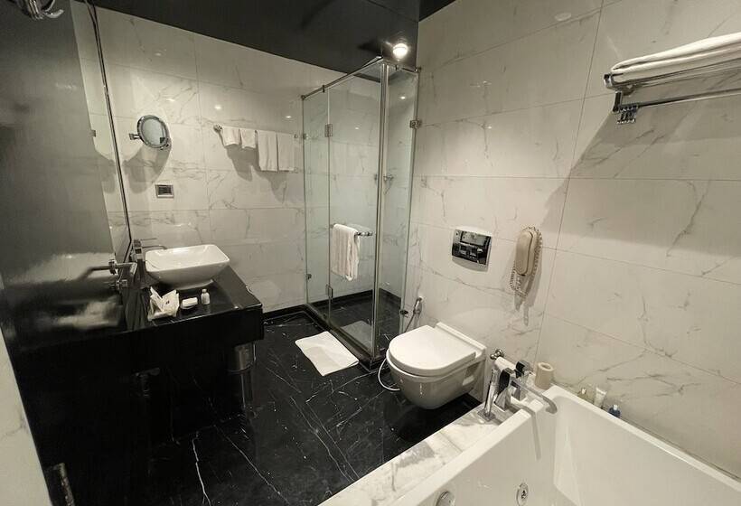 Полулюкс, Radisson Blu Hotel New Delhi Paschim Vihar