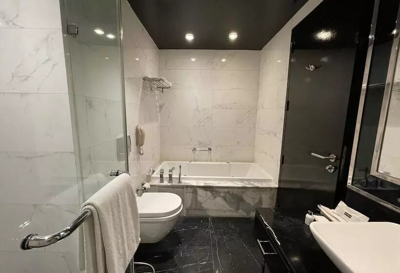 ビジネスルーム, Radisson Blu Hotel New Delhi Paschim Vihar