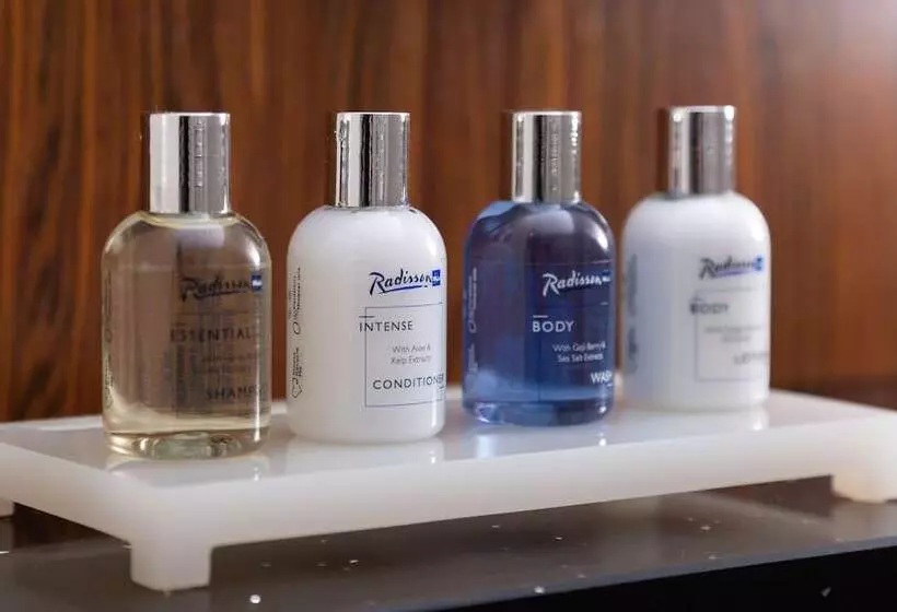 ビジネスルーム, Radisson Blu Hotel New Delhi Paschim Vihar