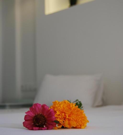 클래식 룸, Artemis Studios