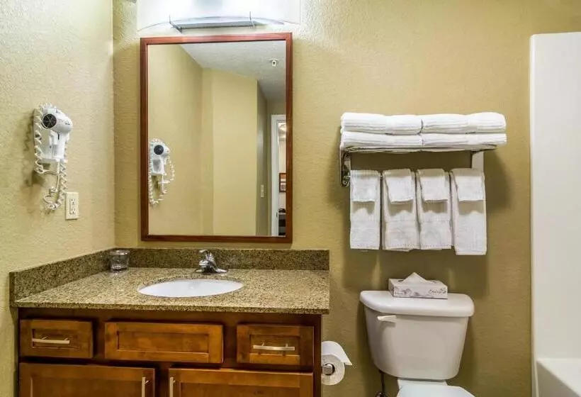 キングサイドベッドのスタンダードワンルーム, Candlewood Suites Jacksonville East Merril Road, An Ihg