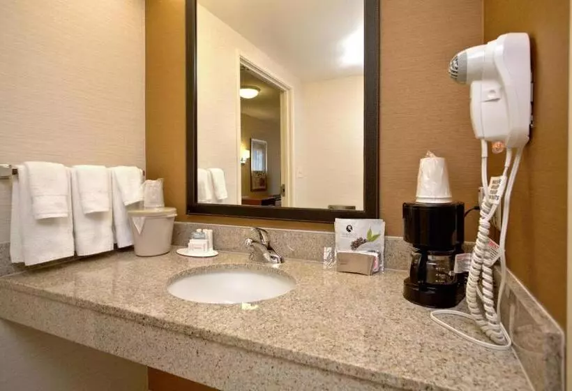 キングサイズベッドのスタンダードルーム, Fairfield Inn & Suites By Marriott Edison   South Plainfield