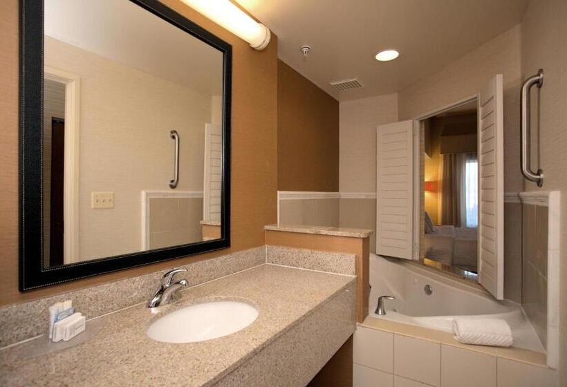 스탠다드 룸 킹사이즈 침대, Fairfield Inn & Suites By Marriott Edison   South Plainfield