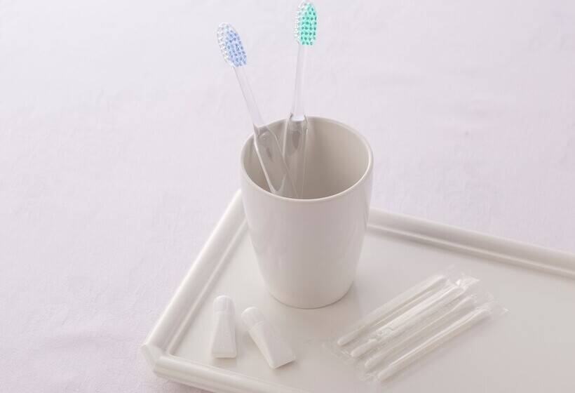 エコノミールーム, Ark Hotel Royal Fukuoka Tenjin Route Inn Hotels