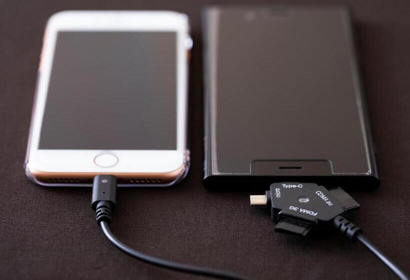 スーペリアールーム, Ark Hotel Royal Fukuoka Tenjin Route Inn Hotels