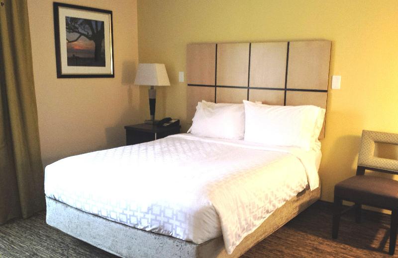 جناح, Candlewood Suites Greenville Nc, An Ihg