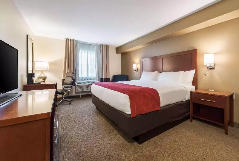 キングサイズベッドのスタンダードルーム, Comfort Suites Atlantic City North