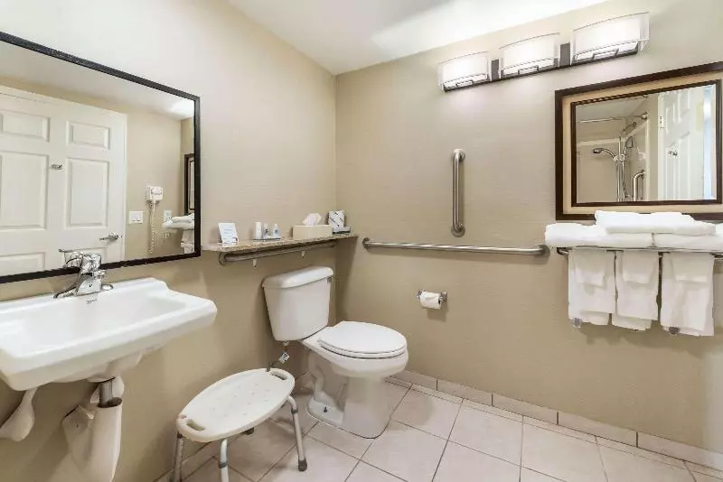 キングサイズベッドのスタンダードルーム, Comfort Suites Atlantic City North