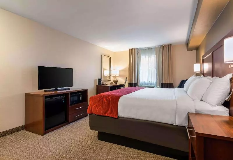 キングサイズベッドのスタンダードルーム, Comfort Suites Atlantic City North