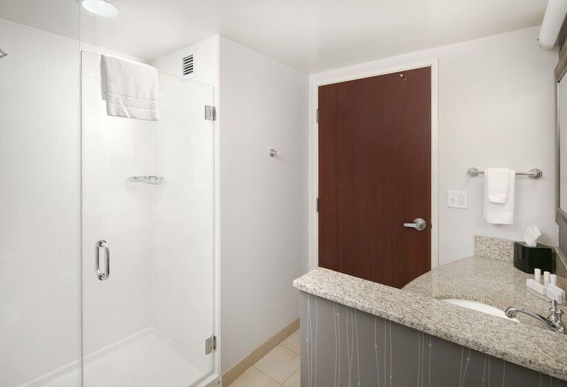 Standaardkamer met Tweepersoonsbed, Courtyard Indianapolis Downtown