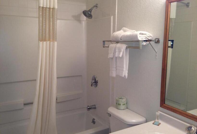 Стандартный Номер Кровать Кинг, Days Inn By Wyndham Morton