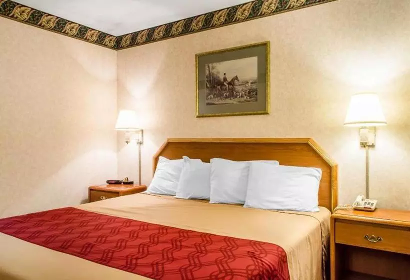 キングサイズベッドのスタンダードルーム, Americas Best Value Inn Gettysburg