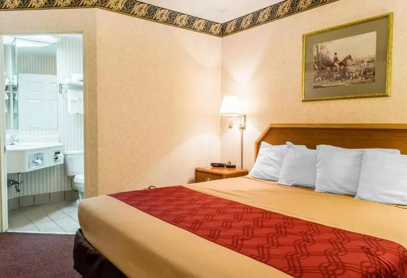 キングサイズベッドのスタンダードルーム, Americas Best Value Inn Gettysburg