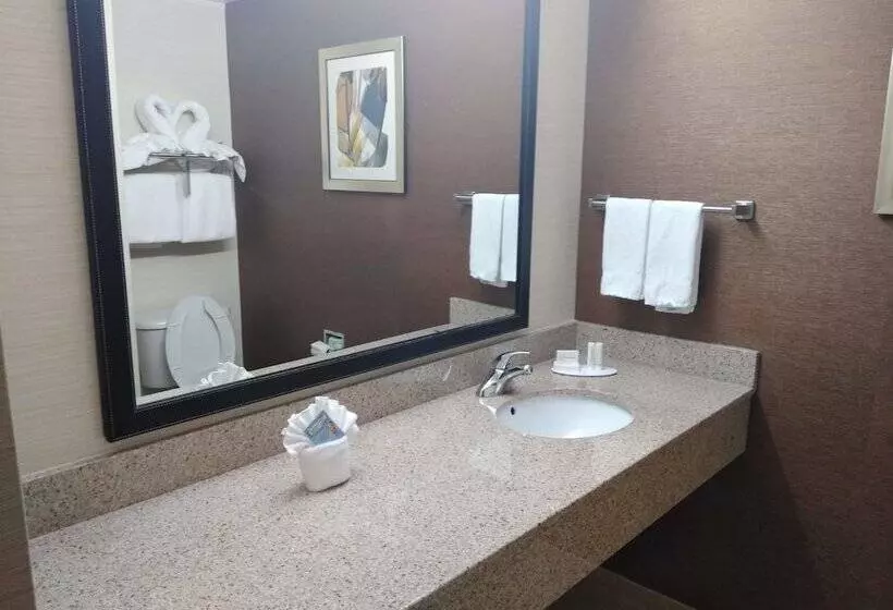 ２ダブルベッドのスタンダードルーム, Fairfield Inn & Suites Greensboro Wendover