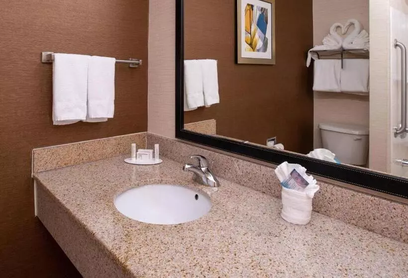 キングサイズベッドのエクゼクティブ, Fairfield Inn & Suites Greensboro Wendover
