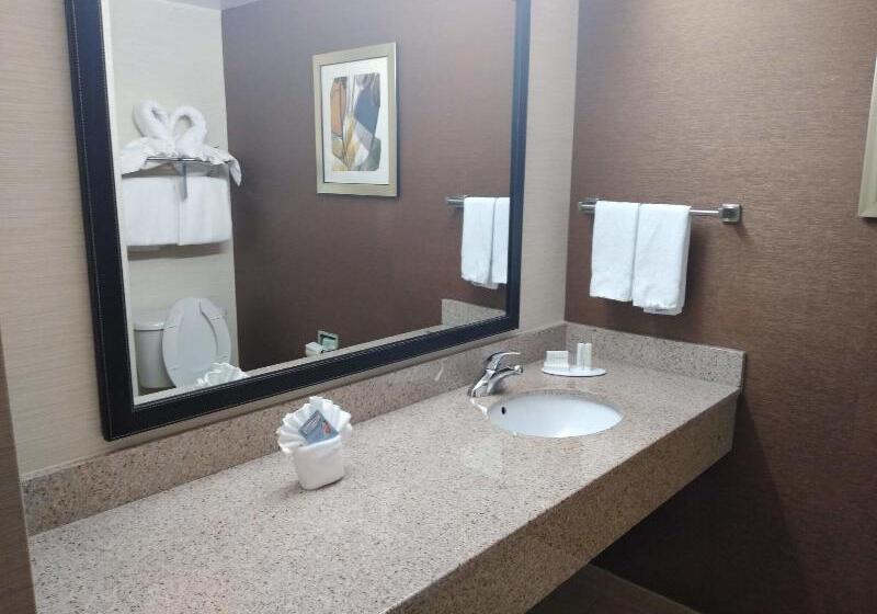 Стандартный Номер Кровать Кинг, Fairfield Inn & Suites Greensboro Wendover