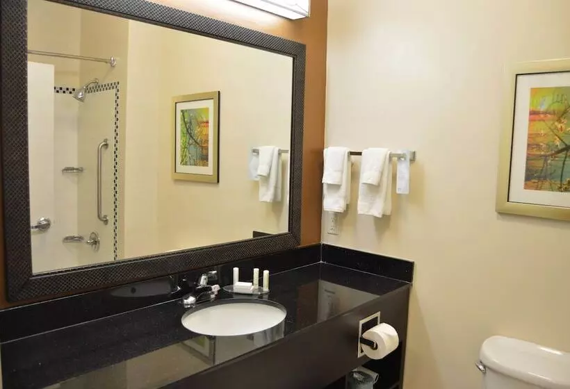 スタンダードスタジオ, Fairfield Inn & Suites Houston Channelview