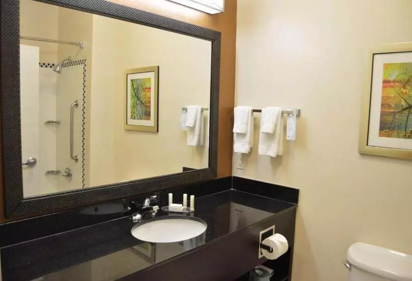 キングサイズベッドのスタンダードルーム, Fairfield Inn & Suites Houston Channelview