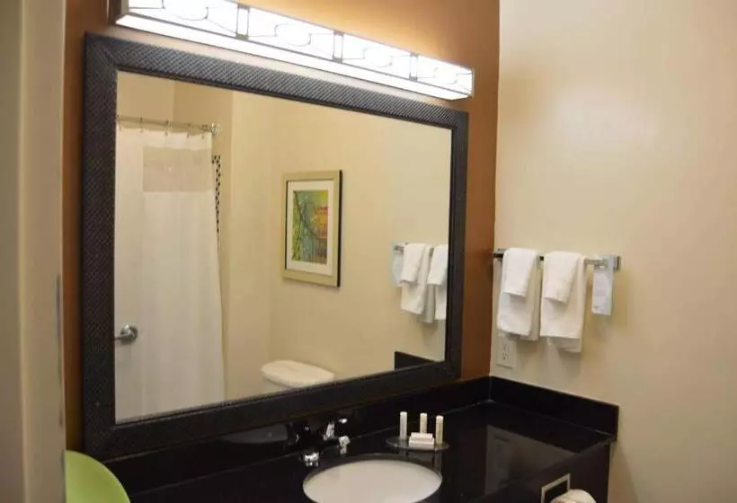 スタンダードルーム, Fairfield Inn & Suites Houston Channelview