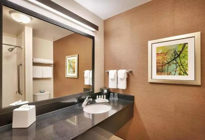 キングサイズベッドのスタンダードルーム, Fairfield Inn & Suites Idaho Falls