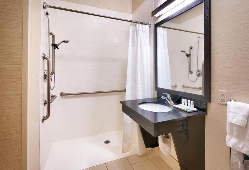 חדר סטנדרט עם מיטת קינג, Fairfield Inn & Suites Idaho Falls