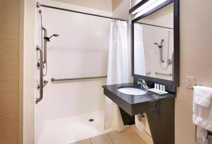 キングサイズベッドのスタンダードルーム, Fairfield Inn & Suites Idaho Falls