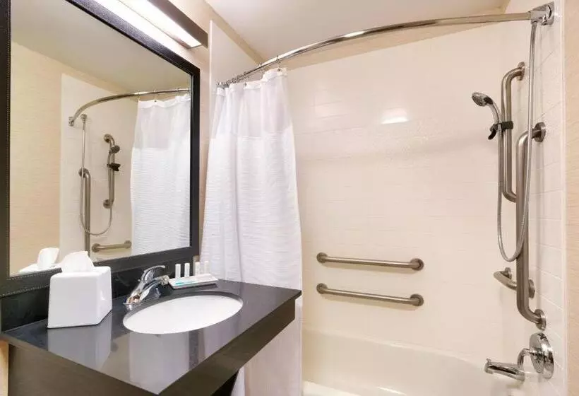 キングサイズベッドのスイートルーム, Fairfield Inn & Suites Idaho Falls