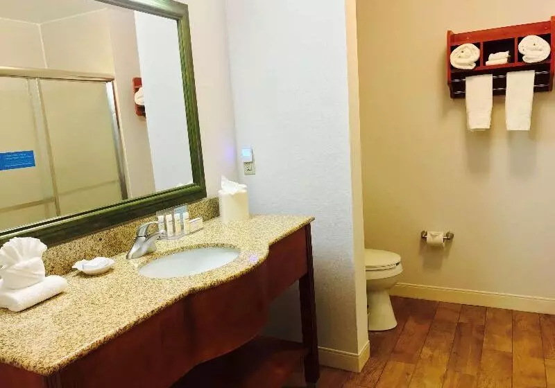 キングサイズベッドのスタンダードルーム, Hampton Inn Garden City