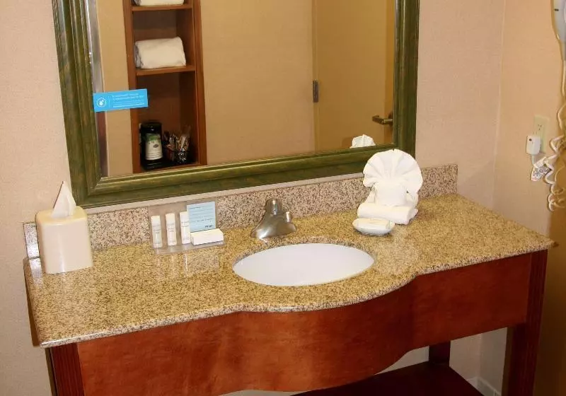キングサイズベッドのスタンダードルーム, Hampton Inn Garden City