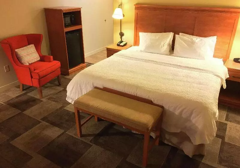 キングサイズベッドのスタンダードルーム, Hampton Inn Garden City