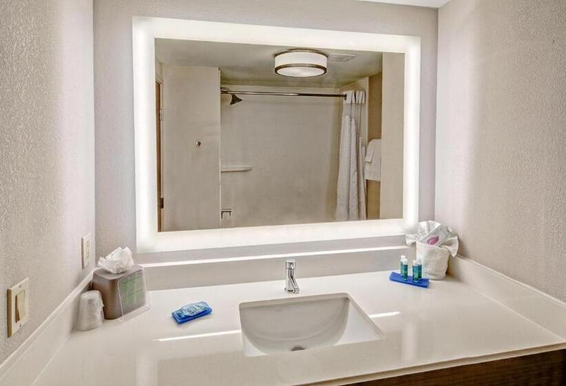 מיטת קינג בסוויטה, Holiday Inn Express Hotel & Suites Memphis Southwind, An Ihg