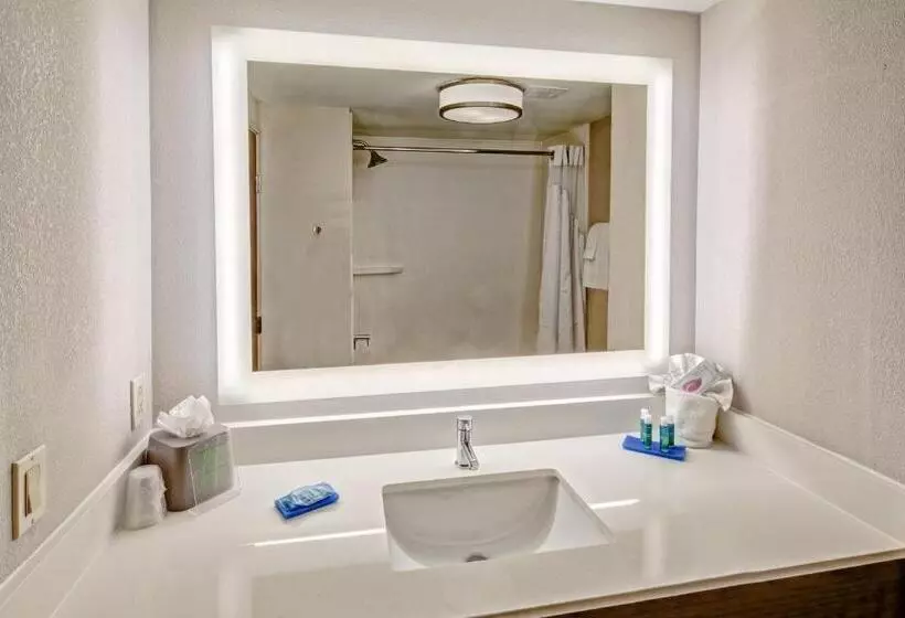 Standard-invahuone, Holiday Inn Express Hotel & Suites Memphis Southwind, An Ihg
