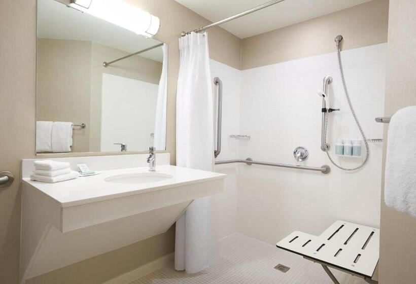 إستوديو قياسى سرير كينج, Springhill Suites St. Louis Brentwood