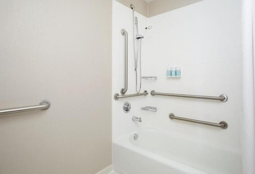 إستوديو قياسى سرير كينج, Springhill Suites St. Louis Brentwood