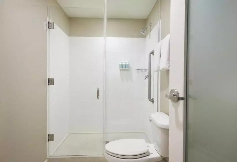 キングサイドベッドのスタンダードワンルーム, Springhill Suites St. Louis Brentwood
